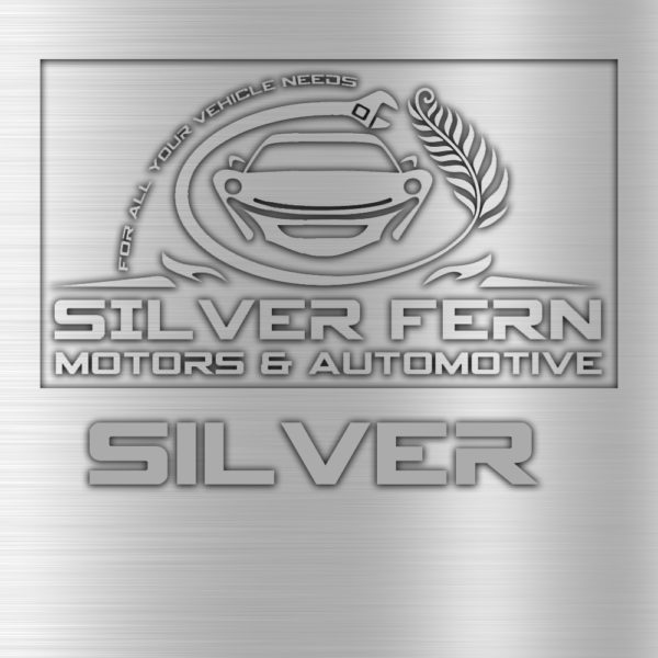 Silver Vehicle Service