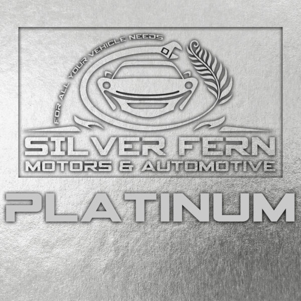 Platinum Vehicle Service (Euro Car)